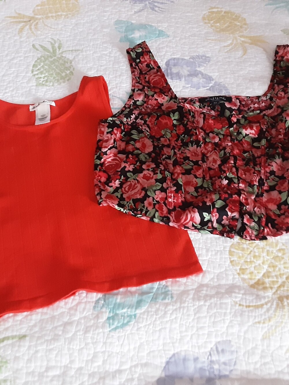 Two Crop Tops For $10.00